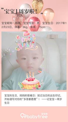 journal_insert_pic_1152846235