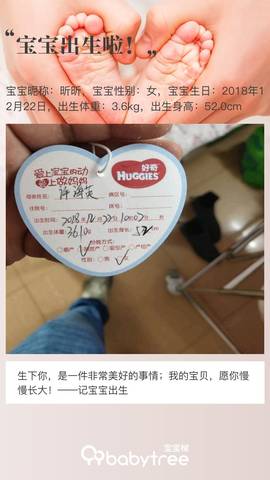 journal_insert_pic_1153916032