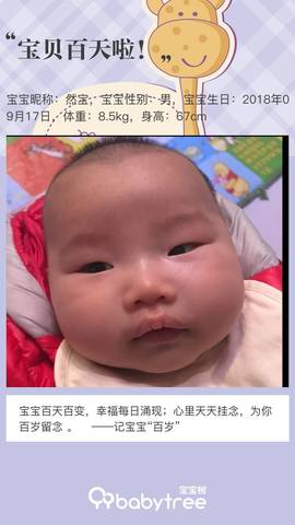 journal_insert_pic_1156214182