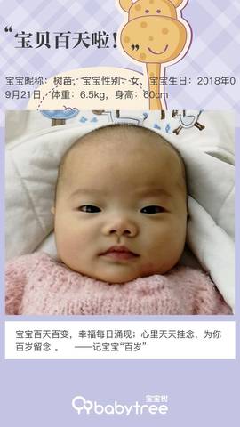 journal_insert_pic_1156062207