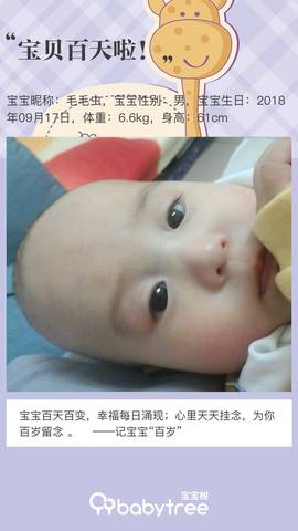 journal_insert_pic_1156294324