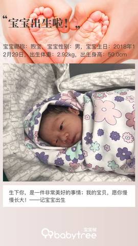 journal_insert_pic_1156661627