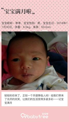 journal_insert_pic_1156301593