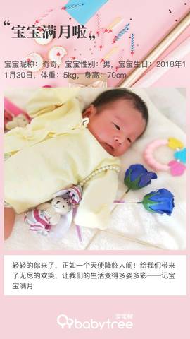 journal_insert_pic_1156740334