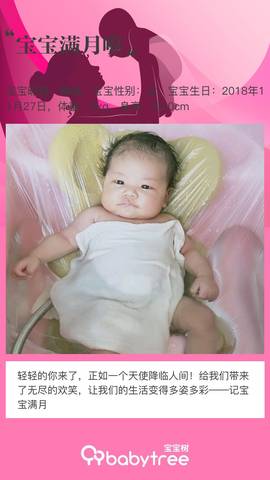 journal_insert_pic_1157271976