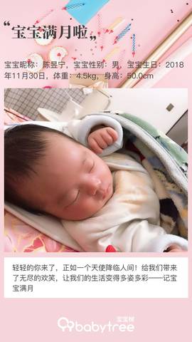 journal_insert_pic_1157299640