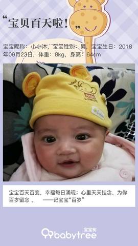 journal_insert_pic_1157441908