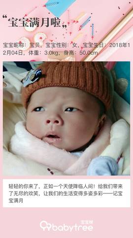 journal_insert_pic_1157943508
