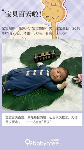 journal_insert_pic_1158493508