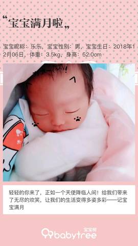 journal_insert_pic_1158631592