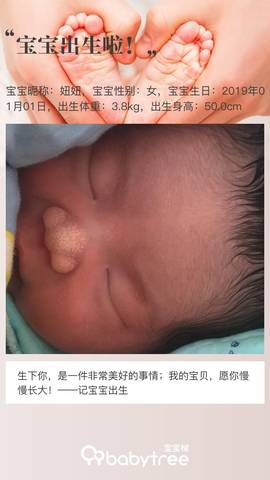 journal_insert_pic_1159091097