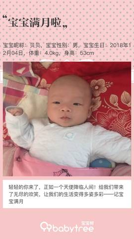 journal_insert_pic_1160792235