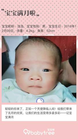 journal_insert_pic_1161791513