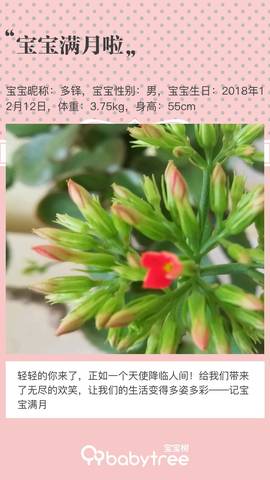 journal_insert_pic_1162017263
