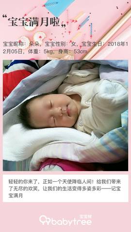 journal_insert_pic_1162091414