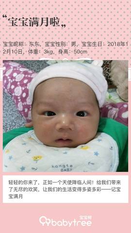 journal_insert_pic_1161896134