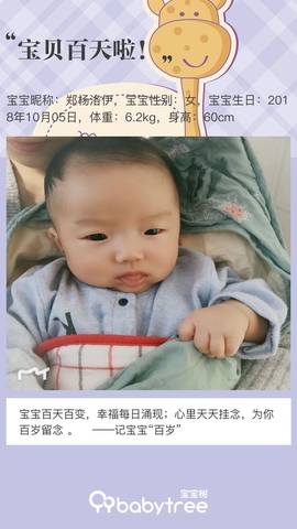 journal_insert_pic_1162037572
