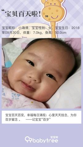 journal_insert_pic_1162353152