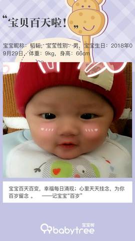 journal_insert_pic_1162815009