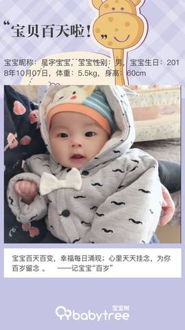journal_insert_pic_1163076598