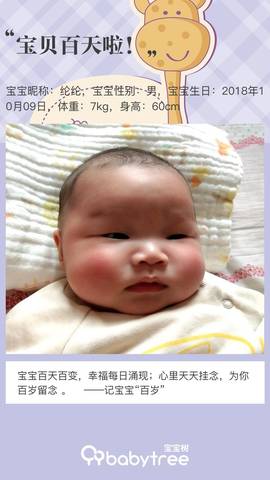 journal_insert_pic_1164471488