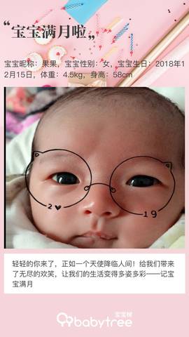 journal_insert_pic_1164509611