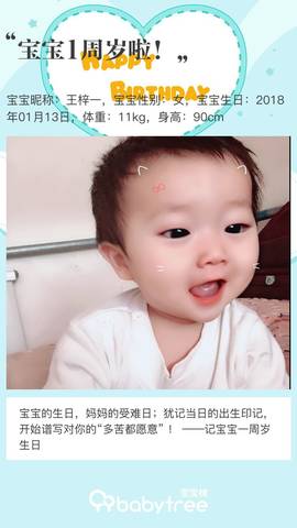 journal_insert_pic_1165151076