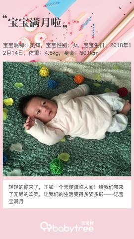 journal_insert_pic_1165389707
