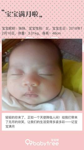journal_insert_pic_1165591912