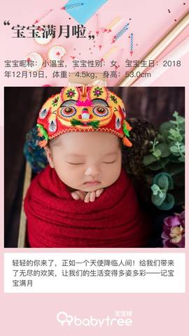 journal_insert_pic_1165597852