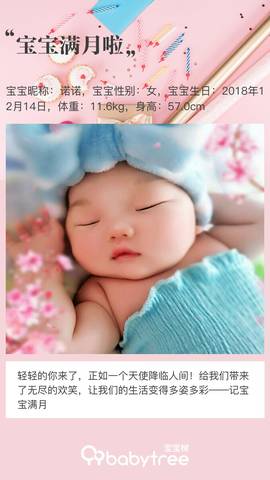 journal_insert_pic_1166375340