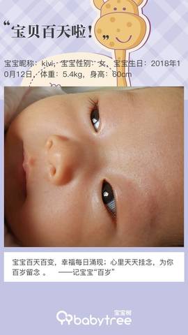 journal_insert_pic_1166505808