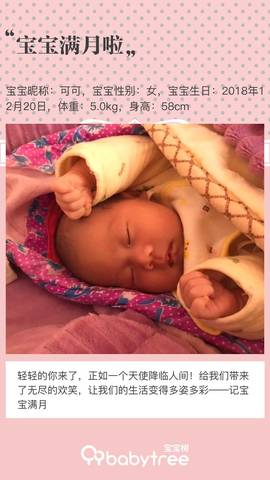 journal_insert_pic_1167209128