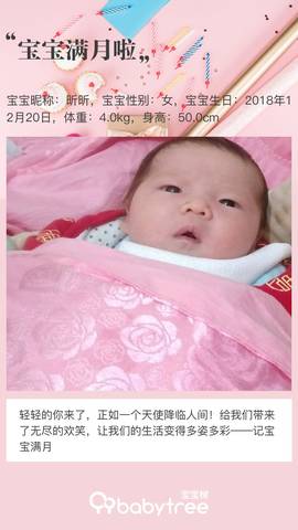 journal_insert_pic_1166928366