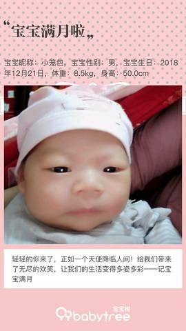 journal_insert_pic_1167803221