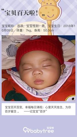 journal_insert_pic_1167603011