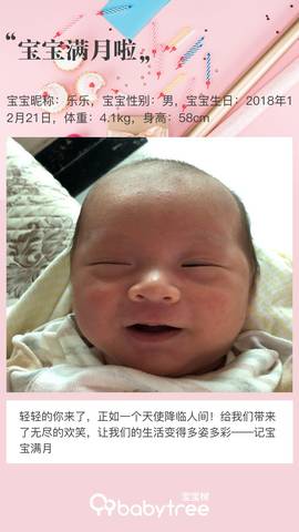 journal_insert_pic_1167467471