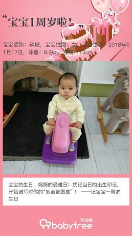 journal_insert_pic_1167678821