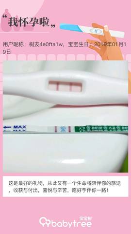 journal_insert_pic_1167405428