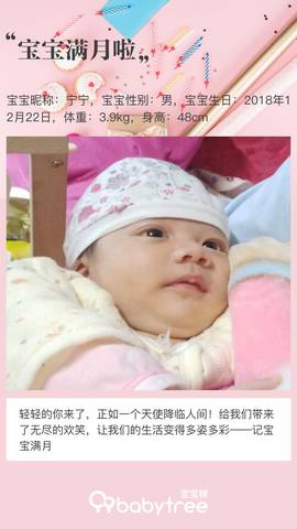journal_insert_pic_1167850447