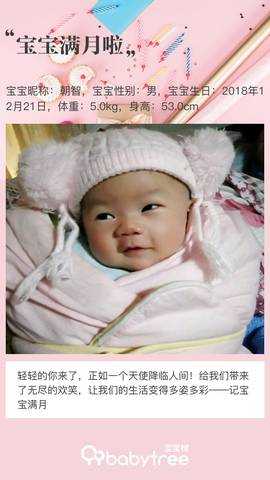 journal_insert_pic_1168201214