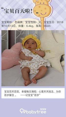 journal_insert_pic_1167859665