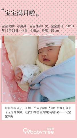 journal_insert_pic_1168020052