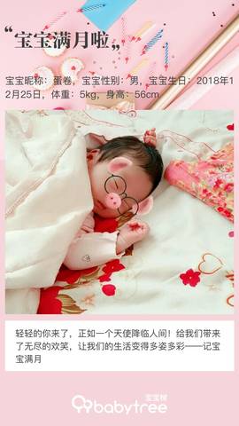 journal_insert_pic_1168897198