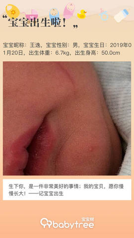 journal_insert_pic_1169127808