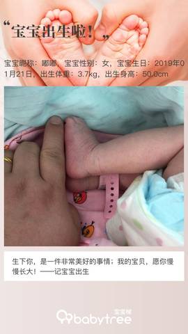 journal_insert_pic_1169038452