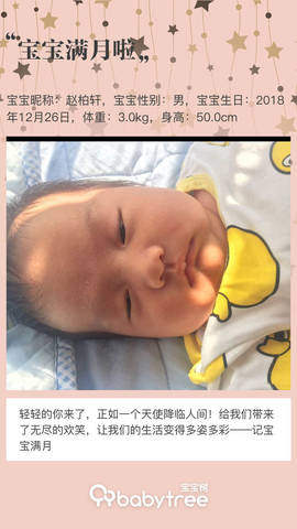 journal_insert_pic_1169294584