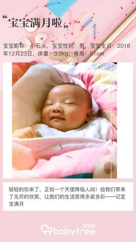 journal_insert_pic_1168831343