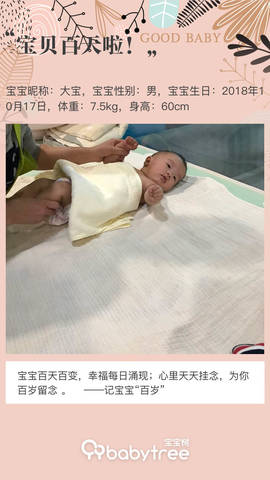 journal_insert_pic_1169918520