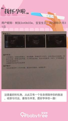 journal_insert_pic_1173493511